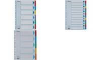 Esselte Karton Register, blanko, A4, 12 teilig, mehrfarbig
