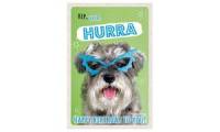 SUSY CARD Geburtstagskarte Humor Brillenhund